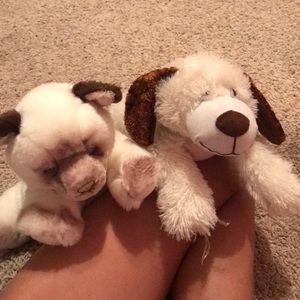 Stuffed Cat & Dog 🐕 🐈
